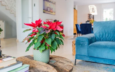 Cómo preparar una vivienda antes de un reportaje fotográfico inmobiliario